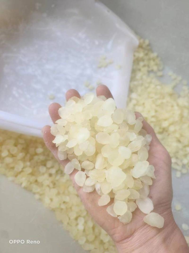 贵州皂角米，单夹，小籽大量有货，品质保证欢迎订购