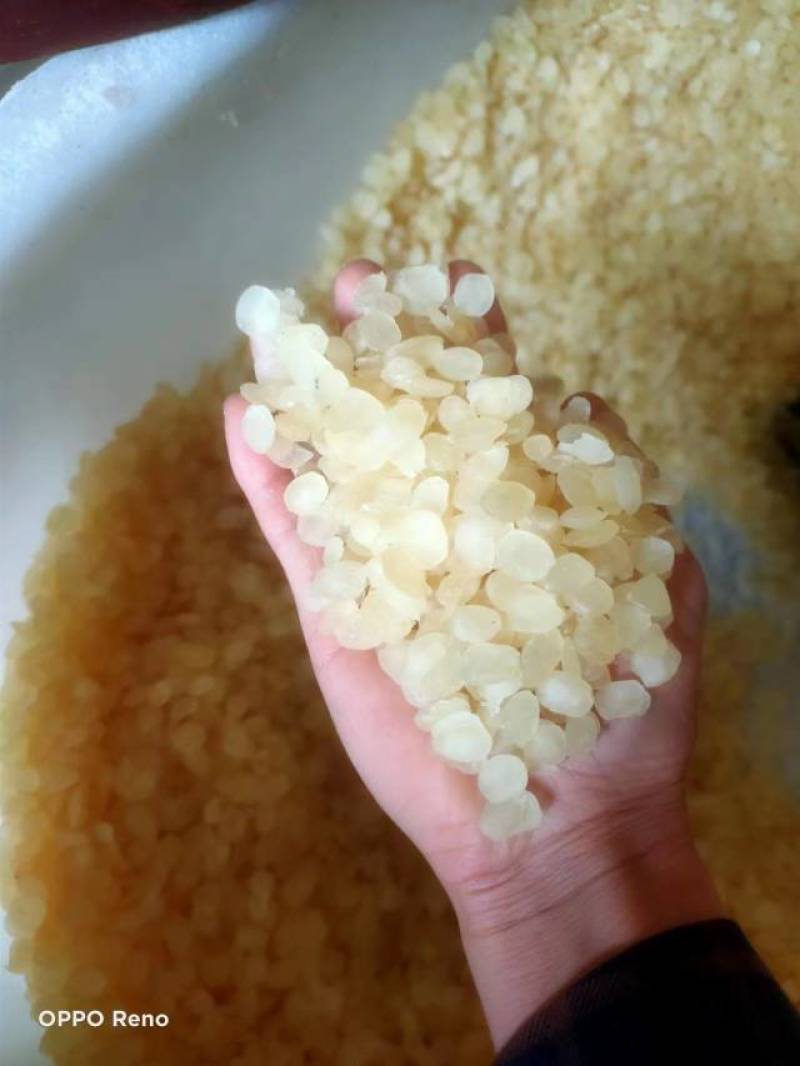 贵州皂角米，单夹，小籽大量有货，品质保证欢迎订购