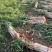 大葱，长白大葱，钢葱种植基地代收代发全国各地。