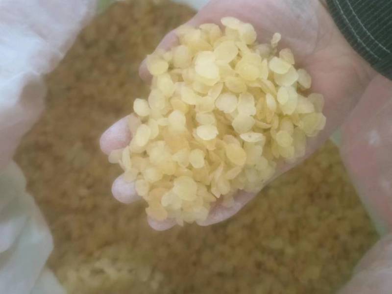 皂角米小籽，无硫大双荚，靓货大量有货，质高价优，欢迎订购