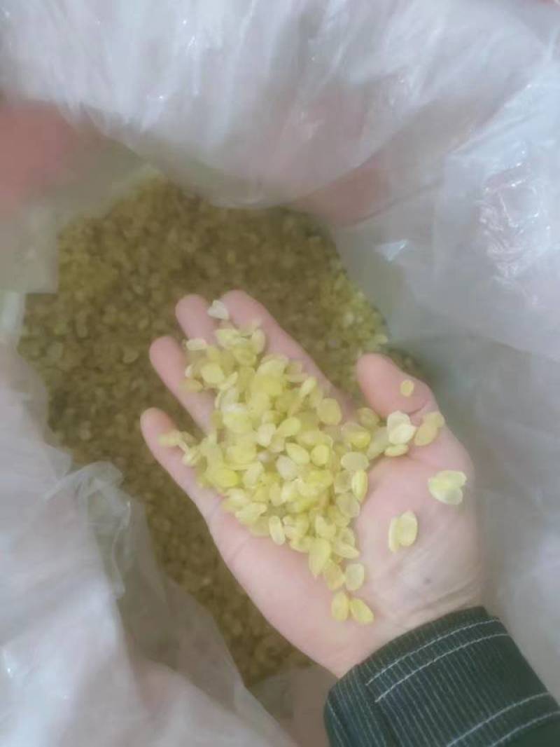 皂角米小籽，无硫大双荚，靓货大量有货，质高价优，欢迎订购
