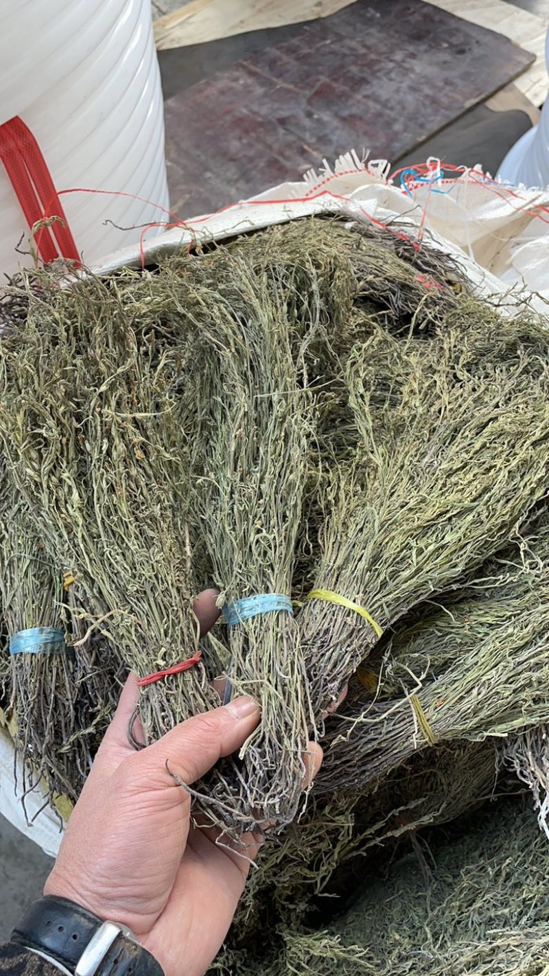 独脚金产地一手货源，价格便宜，欢迎选购。