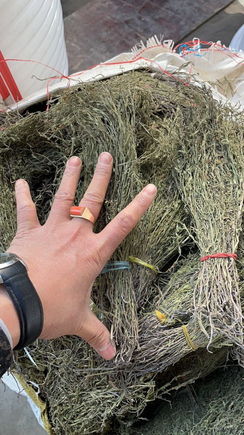 独脚金产地一手货源，价格便宜，欢迎选购。