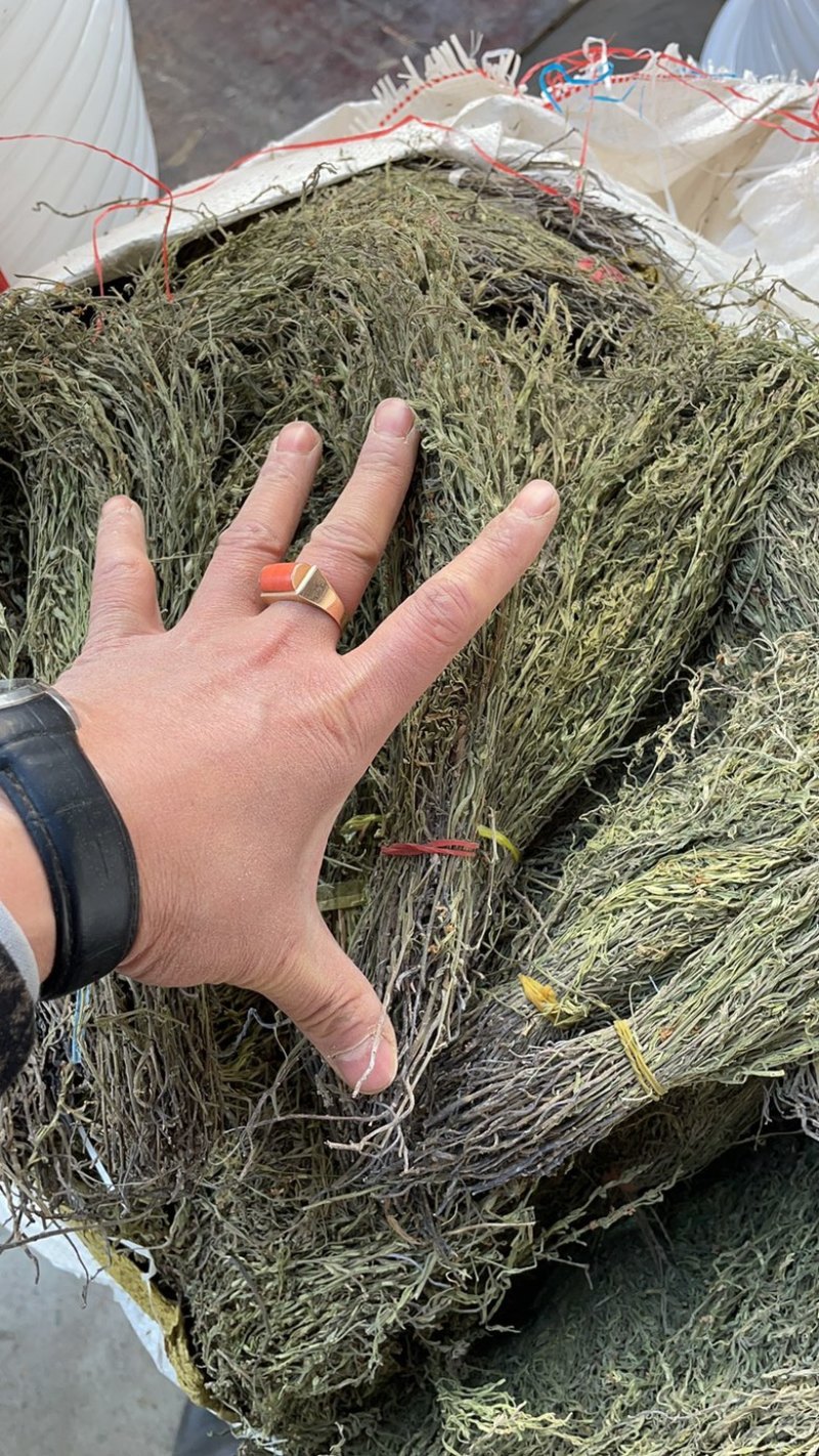 独脚金产地一手货源，价格便宜，欢迎选购。