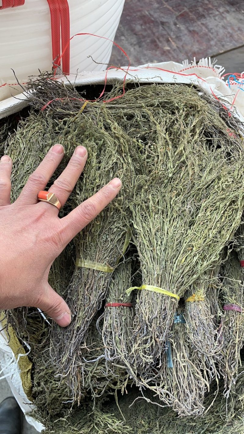 独脚金产地一手货源，价格便宜，欢迎选购。