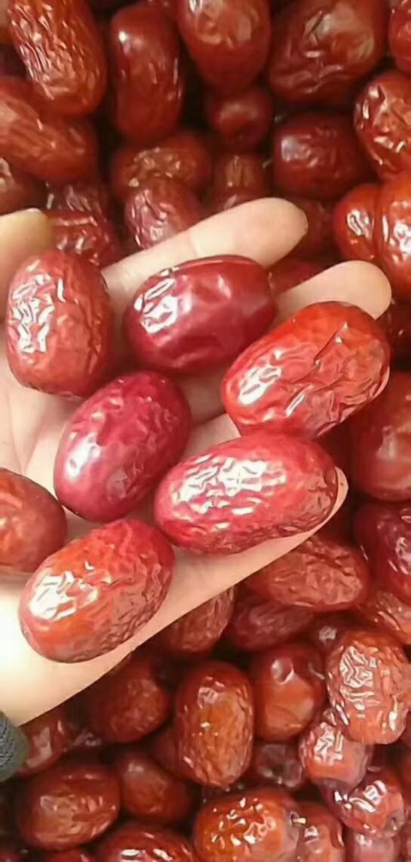 【精品】新疆灰枣，产地直发可视频看货价格优惠欢迎