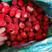速冻草莓，红颜甜查理美十三