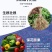 炽繁海藻鱼蛋白桶肥生根壮根膨果有机水溶肥冲施肥