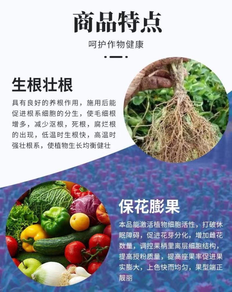 炽繁海藻鱼蛋白桶肥生根壮根膨果有机水溶肥冲施肥
