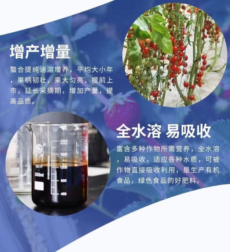 炽繁海藻鱼蛋白桶肥生根壮根膨果有机水溶肥冲施肥
