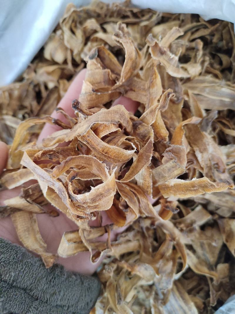地龙全开地龙一手货源量大从欢迎采购咨询