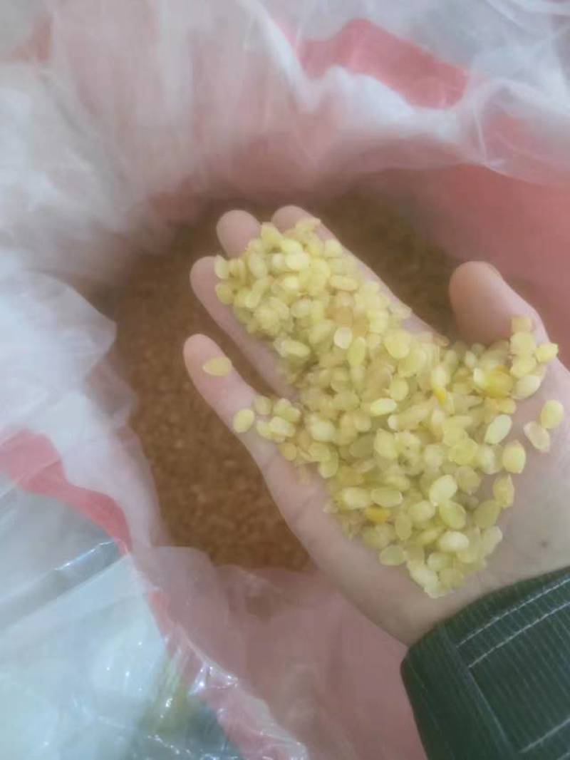 皂角米，无硫中双荚，大量有货，质量保证，可视频看货