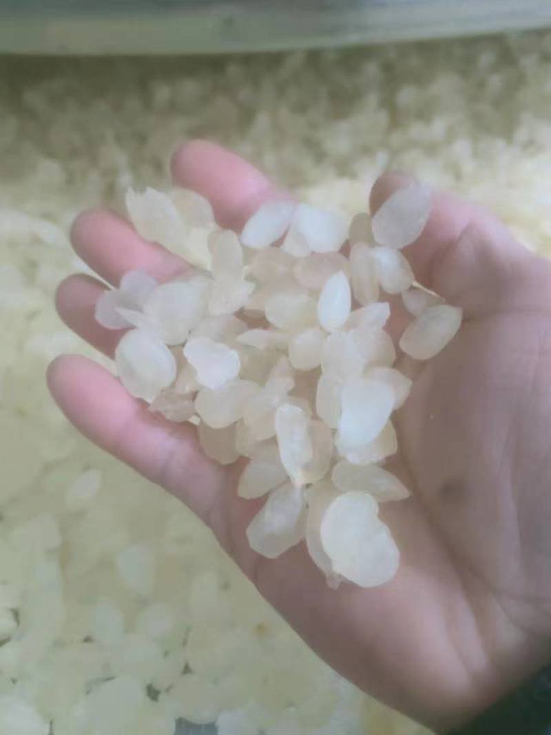 皂角米，无硫中双荚，大量有货，质量保证，可视频看货