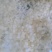 皂角米，无硫中双荚，大量有货，质量保证，可视频看货