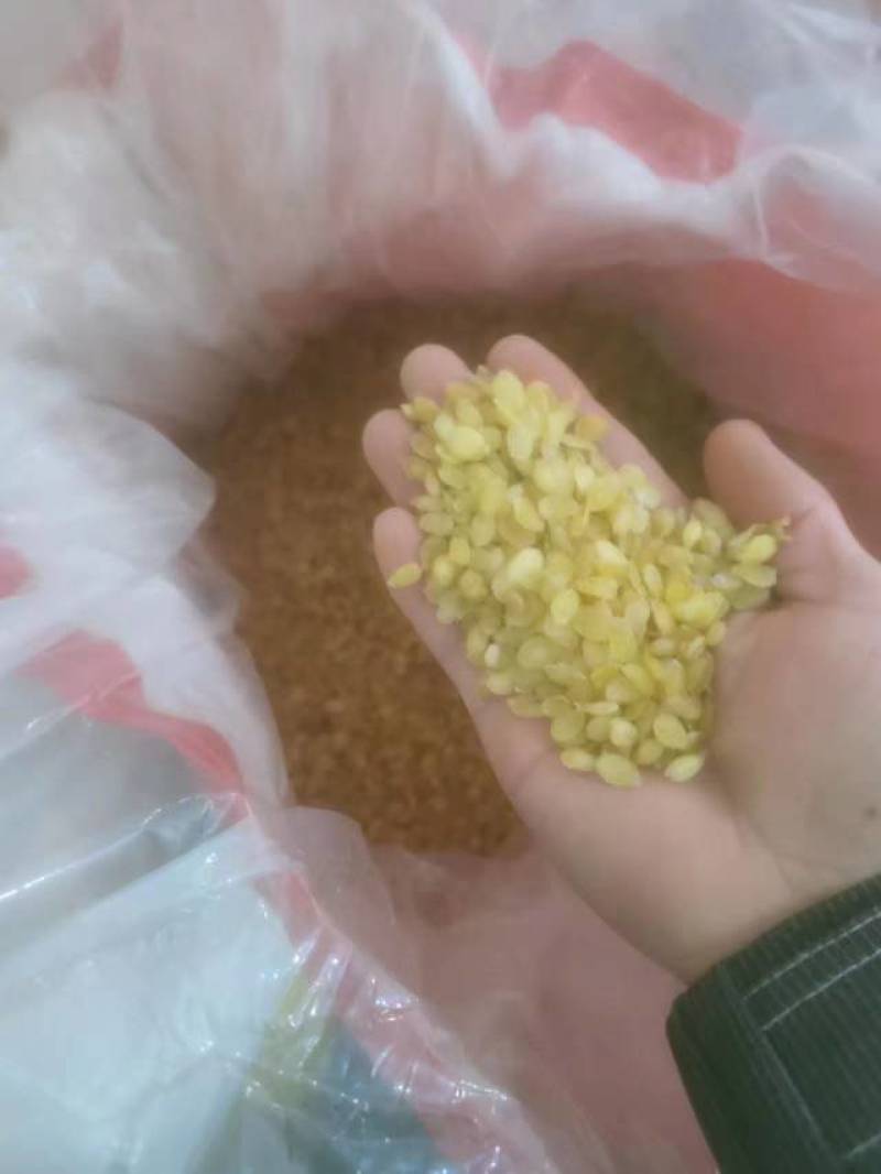 皂角米，无硫中双荚，大量有货，质量保证，可视频看货