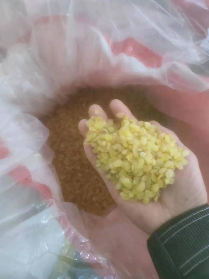皂角米，无硫中双荚，大量有货，质量保证，可视频看货