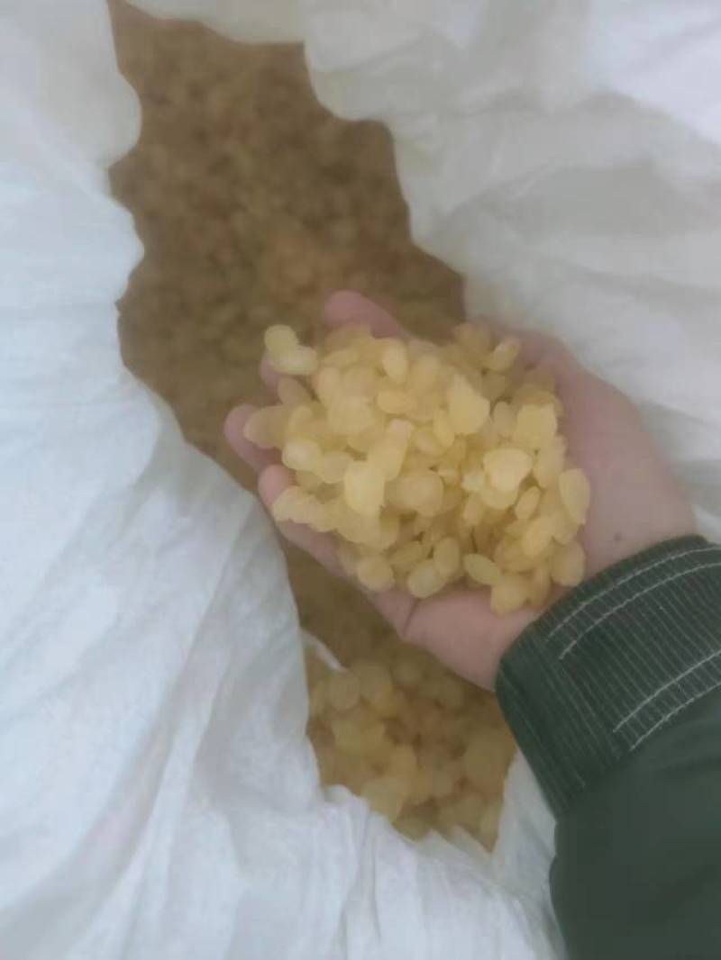 皂角米，黄色中大双荚大量上市，质高价优，可视频看货