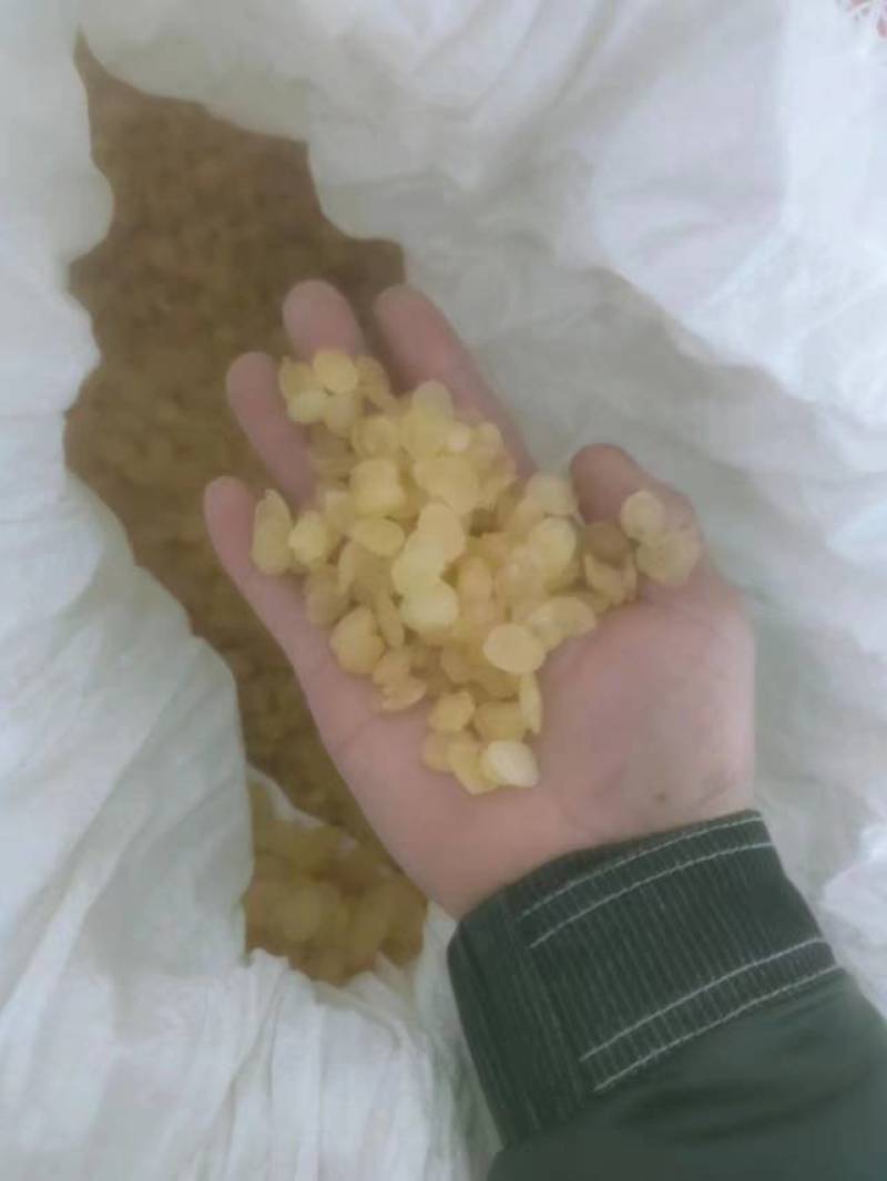 皂角米，黄色中大双荚大量上市，质高价优，可视频看货