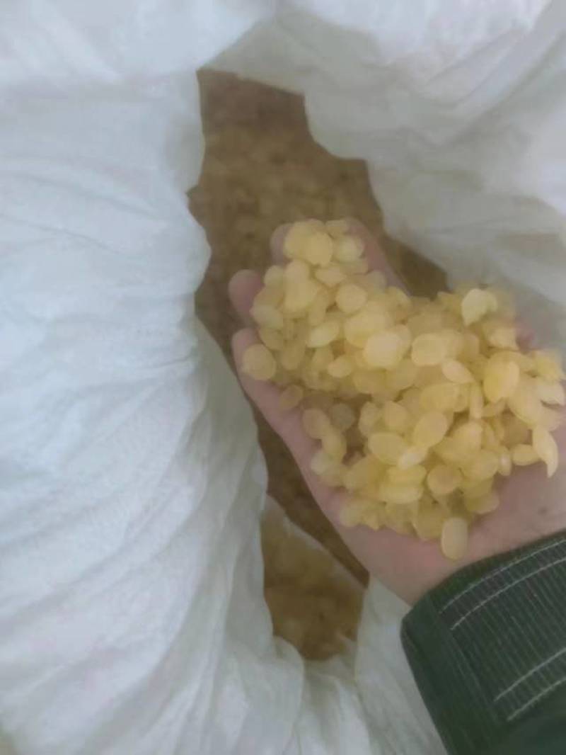 皂角米，黄色中大双荚大量上市，质高价优，可视频看货