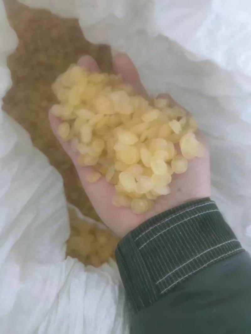 皂角米，黄色中大双荚大量上市，质高价优，可视频看货