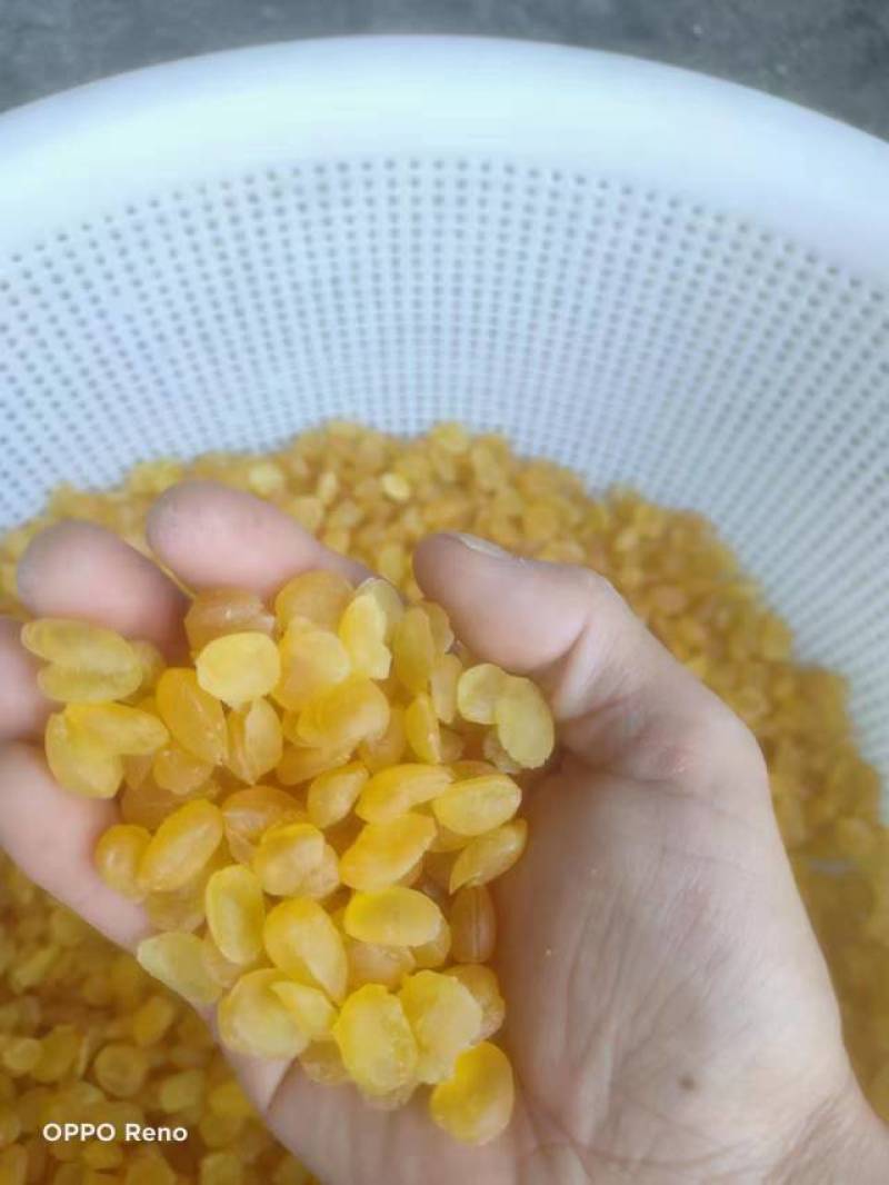 皂角米，黄色中大双荚大量上市，质高价优，可视频看货