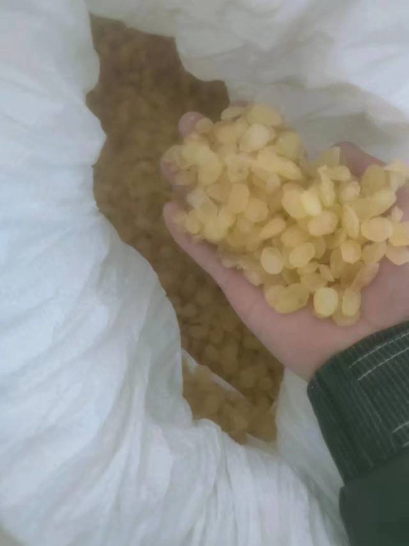 皂角米，黄色中大双荚大量上市，质高价优，可视频看货