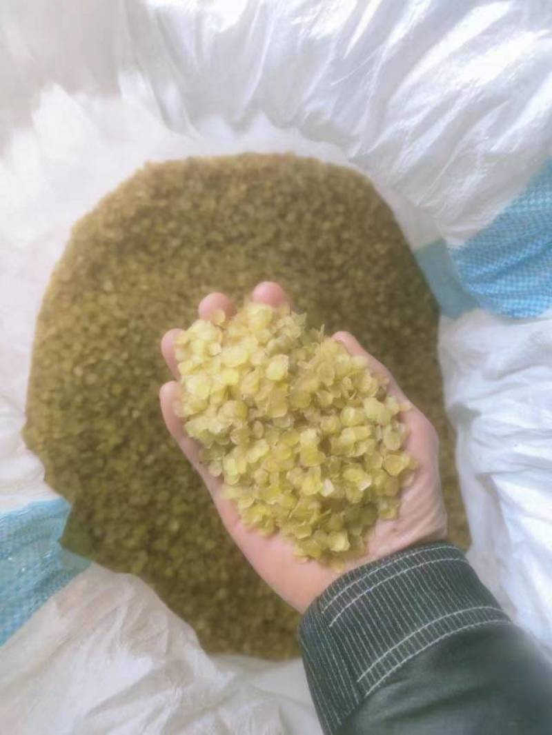 皂角米小白片，无硫小单荚，大量有货，欢迎订购，可以视频看