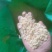 皂角米小白片，无硫小单荚，大量有货，欢迎订购，可以视频看