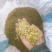 皂角米小白片，无硫小单荚，大量有货，欢迎订购，可以视频看