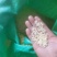 皂角米小白片，无硫小单荚，大量有货，欢迎订购，可以视频看