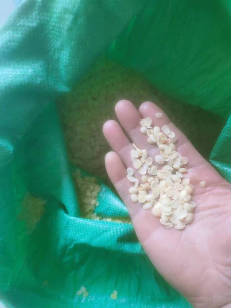 皂角米小白片，无硫小单荚，大量有货，欢迎订购，可以视频看
