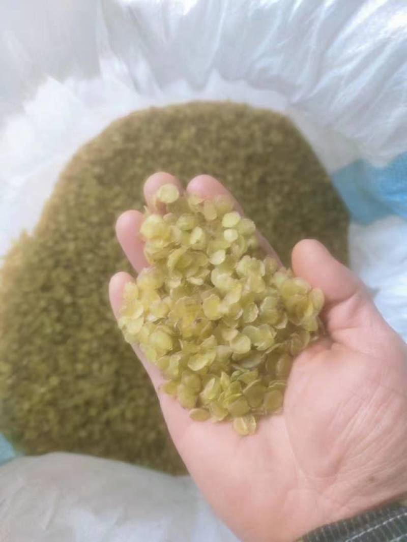 皂角米小白片，无硫小单荚，大量有货，欢迎订购，可以视频看