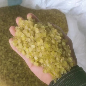 皂角米小白片，无硫小单荚，大量有货，欢迎订购，可以视频看