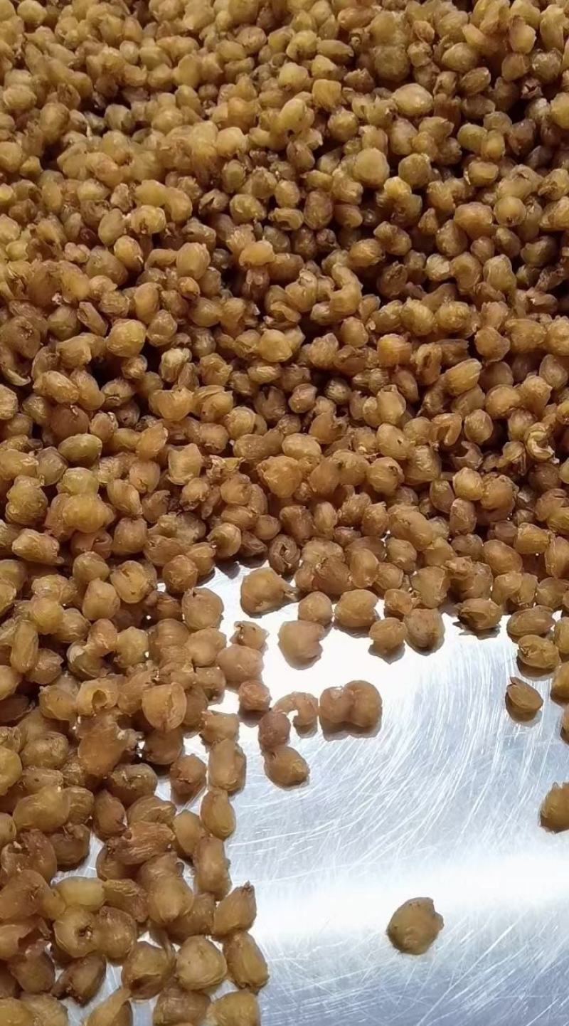 桂圆肉广西特产石夹龙眼