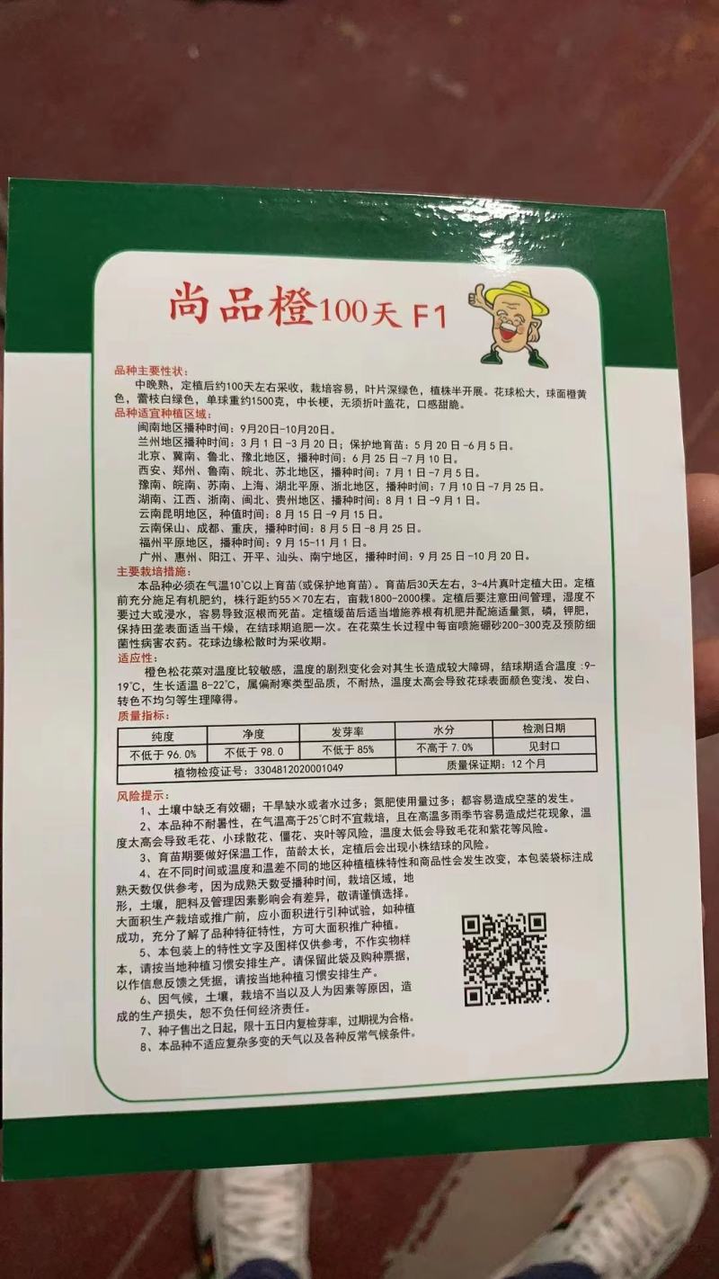 尚品橙100天F1茶花种子花球松大球面橙黄色口感甜脆3斤