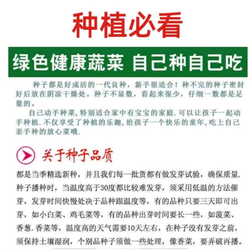 雪韭10号宽叶白根韭菜种子200克农户种植户农家庭院