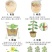 雪韭10号宽叶白根韭菜种子200克农户种植户农家庭院