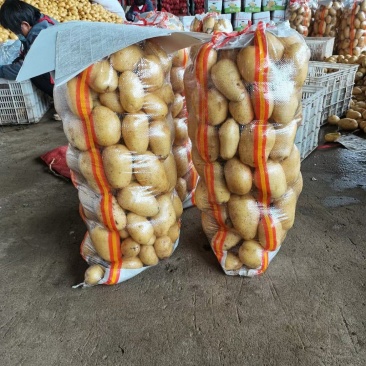 滕州水洗精品高次食堂货，大量现货