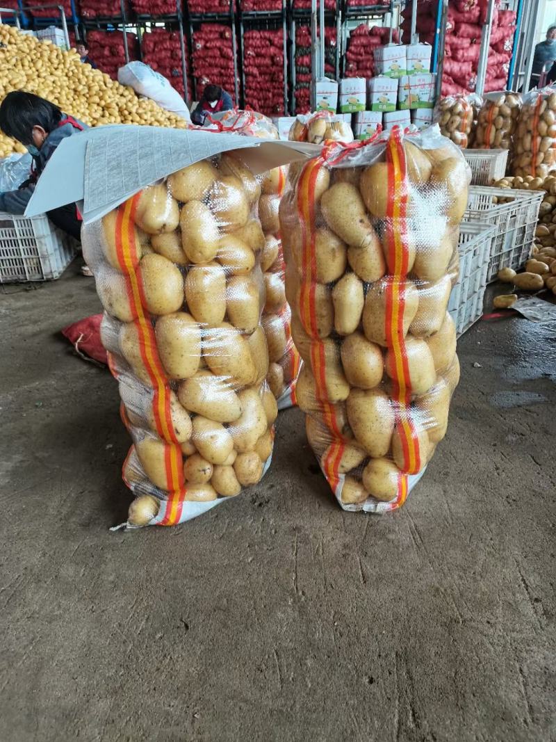 滕州水洗精品高次食堂货，大量现货