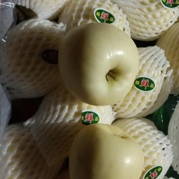 精品黄元帅大量有货，各种苹果都有