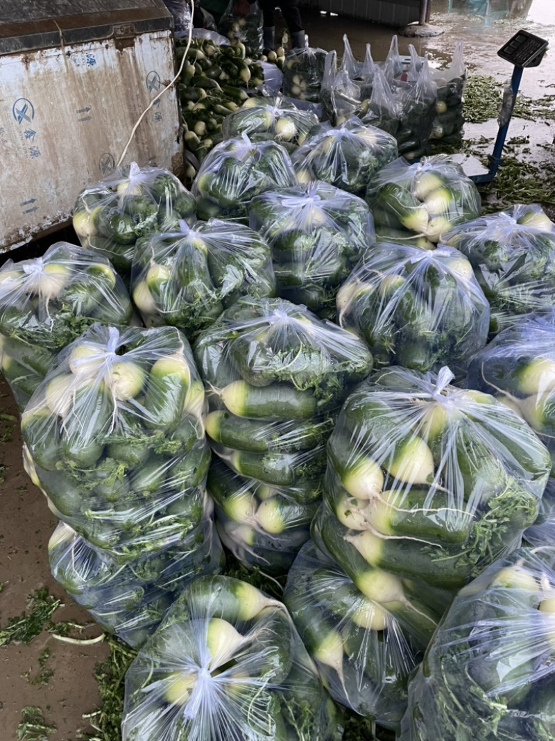 需要的朋友可以联系我