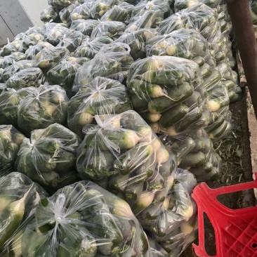 需要的朋友可以联系我