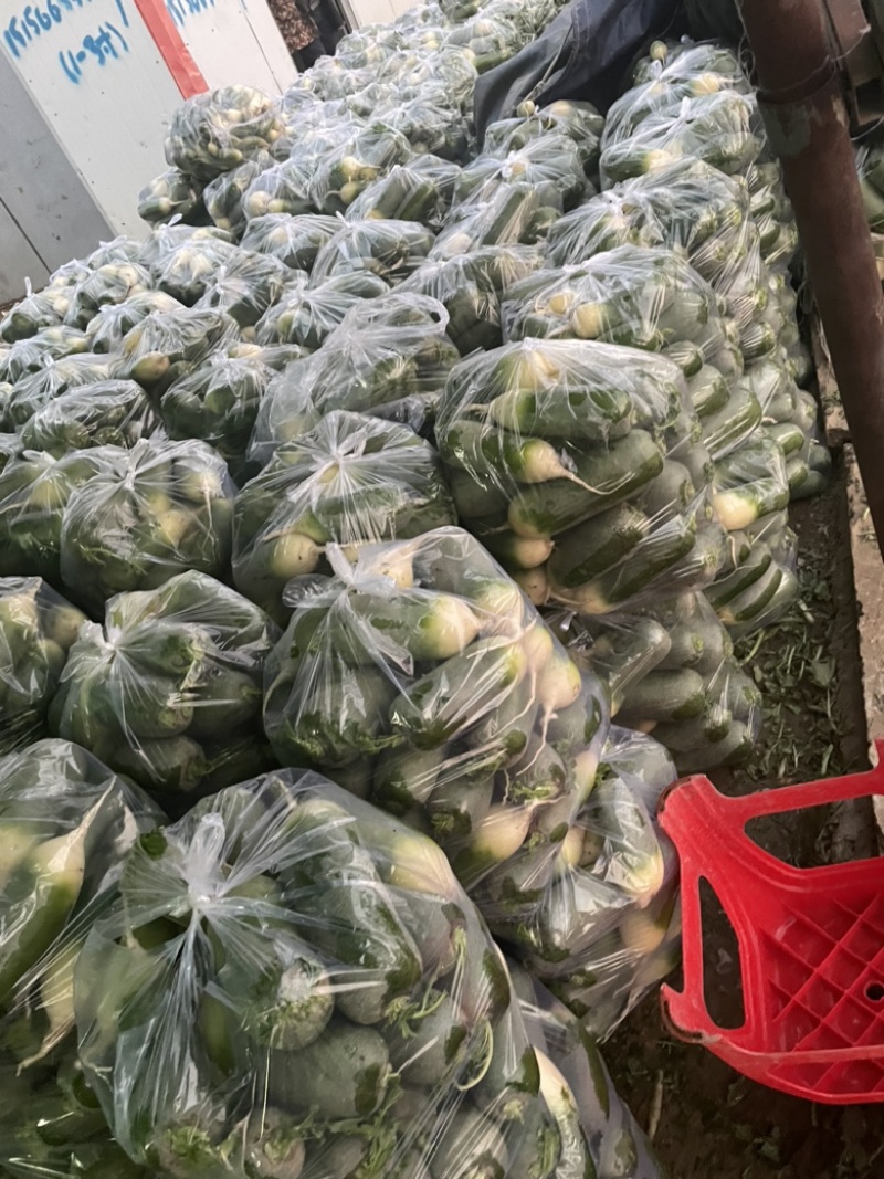 需要的朋友可以联系我