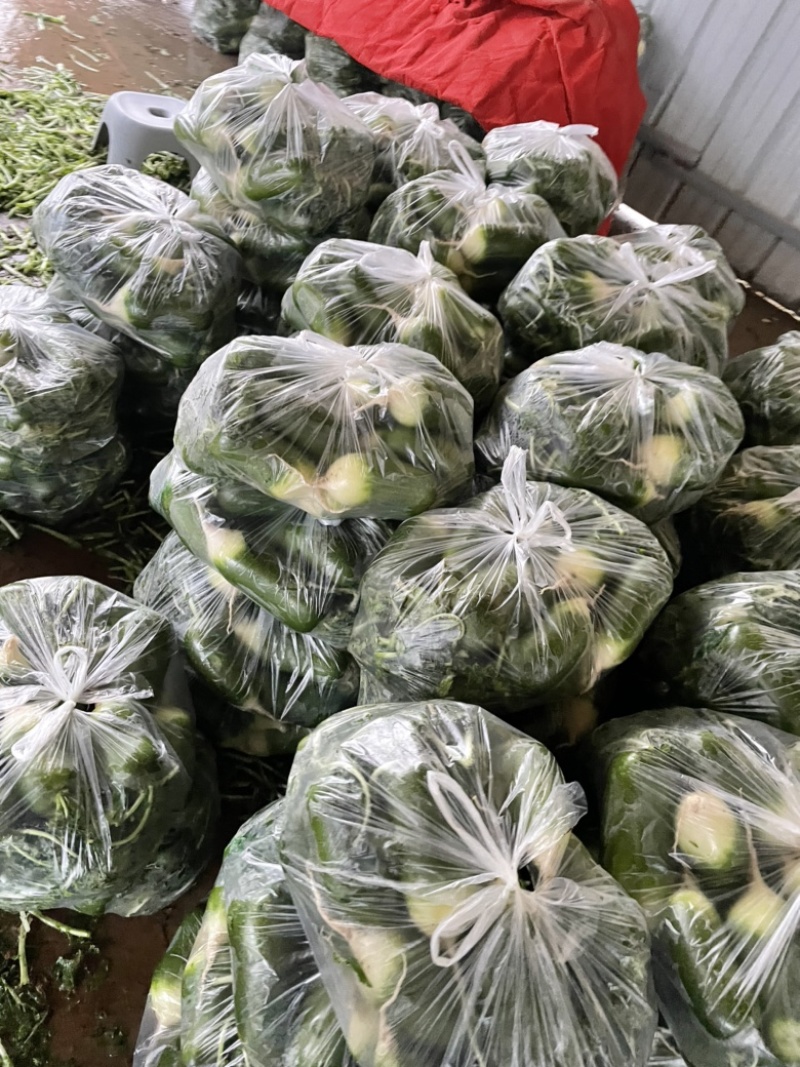 需要的朋友可以联系我