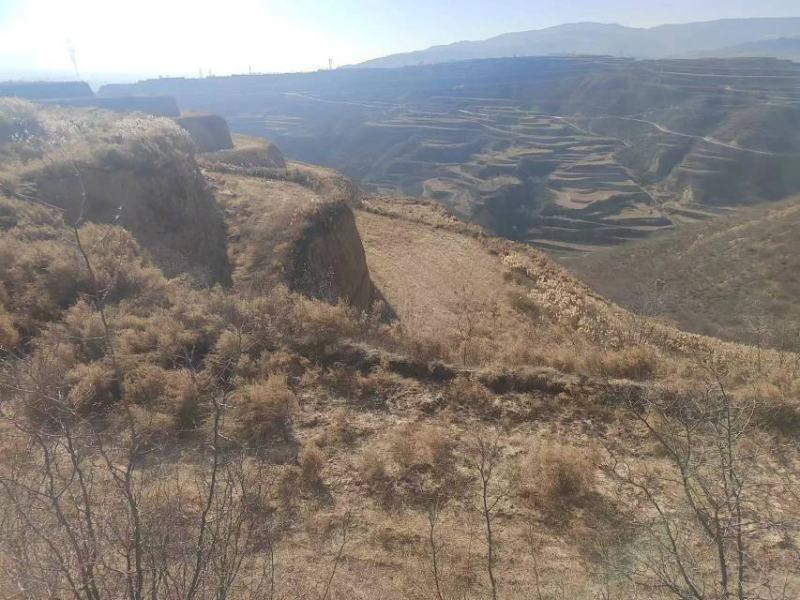 500亩连片山地