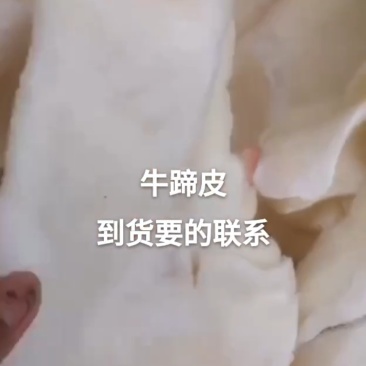 生牛蹄皮