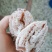 正宗富平柿饼