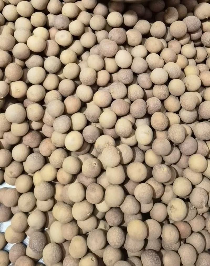 桂圆干广西特产博白桂圆干，石硖龙眼干带壳