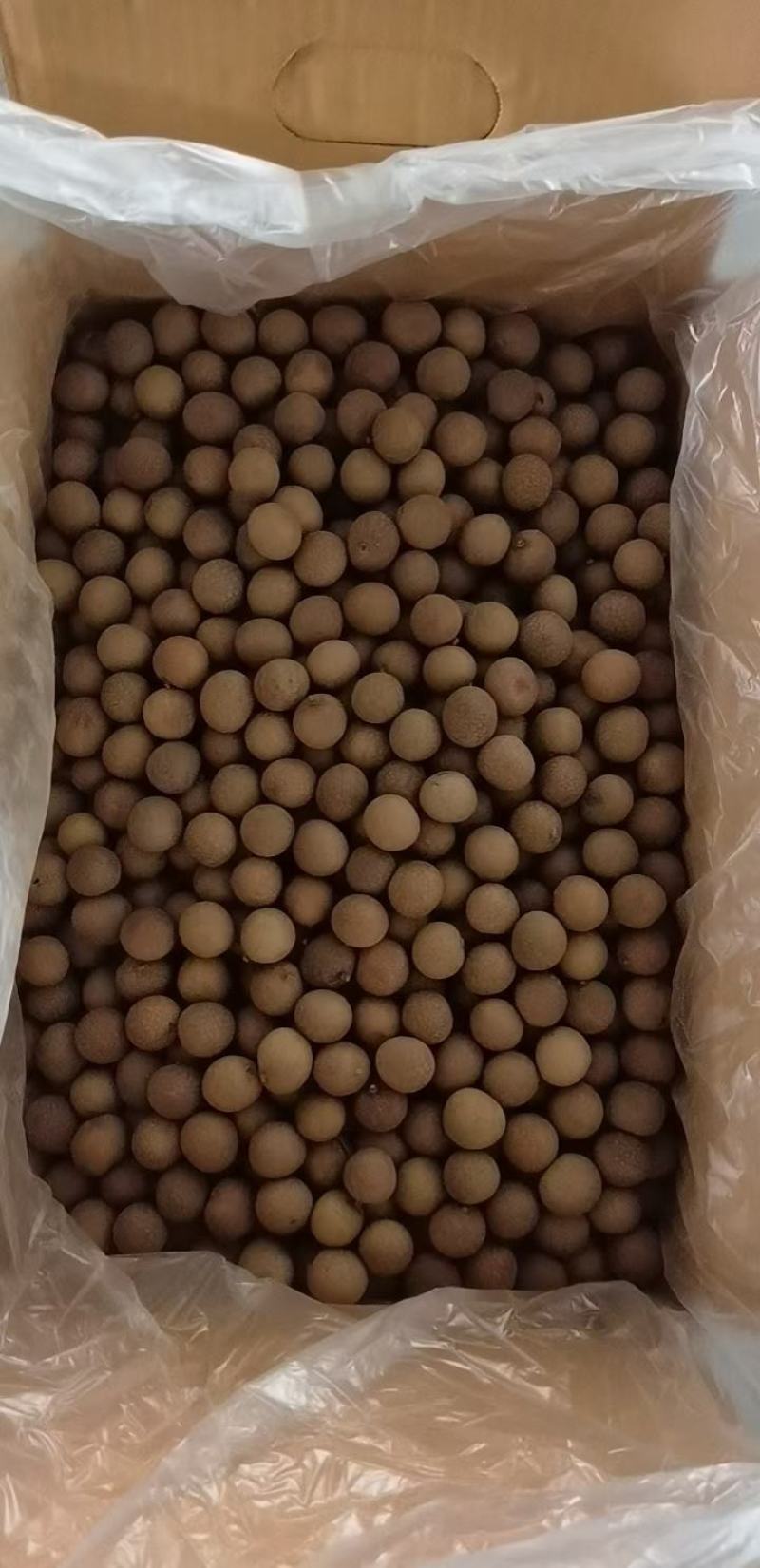 桂圆干广西特产博白桂圆干，石硖龙眼干带壳