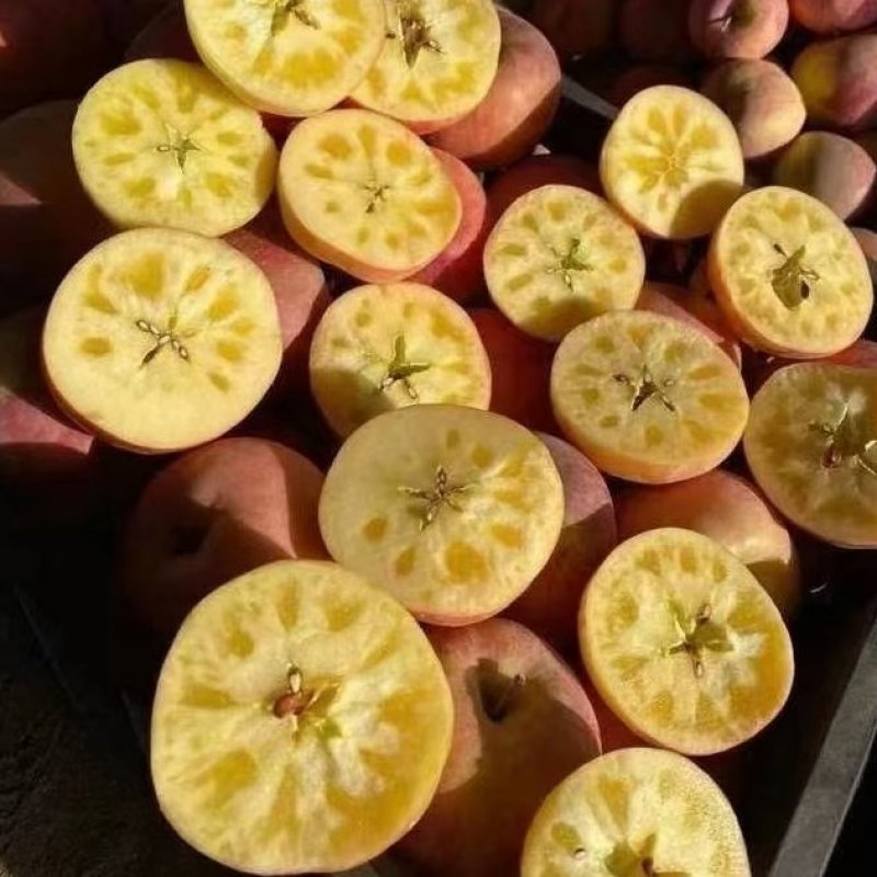 新疆阿克苏冰糖心红富士苹果产地直销，甘甜可口，欢迎下单